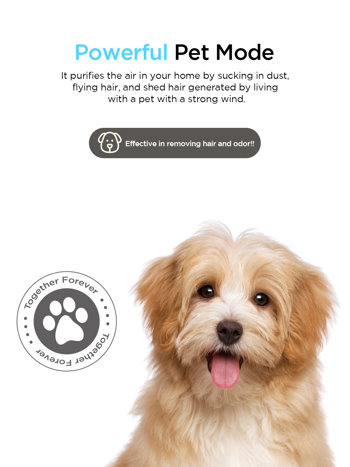 A-Tool Air Purifier | Coverage Area 600 Sqft | CAC-C1220FW